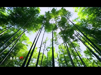 扇生风，风清气正